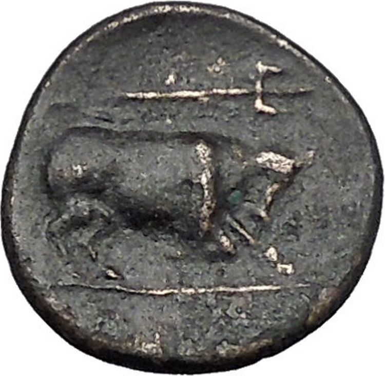 KRANNON in THESSALY 350BC Horseman Bull Authentic Ancient Greek Coin i49159