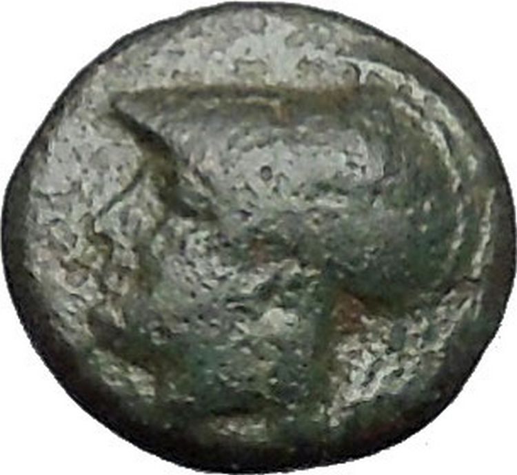 Elaia in Aiolis 340BC Authentic Ancient Greek Coin Athena Corn-grain i49544