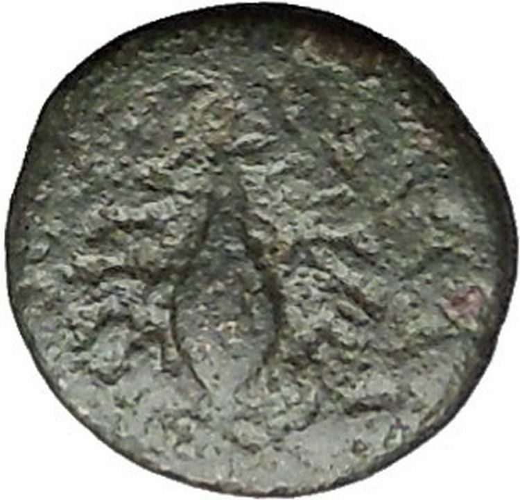 Elaia in Aiolis 340BC Authentic Ancient Greek Coin Athena Corn-grain i49544