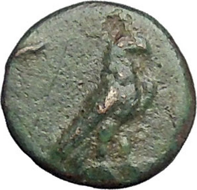 Kyme in Aeolis 350BC EAGLE & VASE on Authentic Ancient Greek Coin i49490