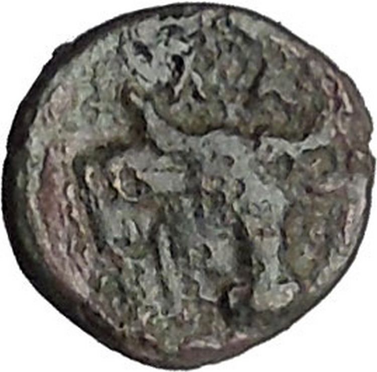 Larissa Phriconis in Aeolis 400BC Original Ancient Greek Coin Female Bull i49649