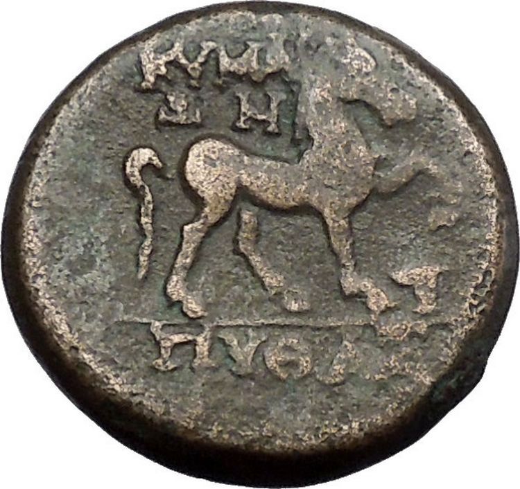 Kyme in Aeolis 300BC Rare Authentic Ancient Greek Coin Amazon Horse i49730