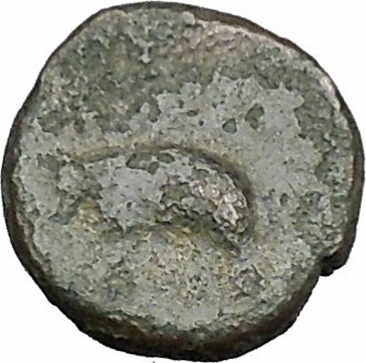 Antiochos III the Great 223BC RARE Ancient Greek Coin Elephant i49742