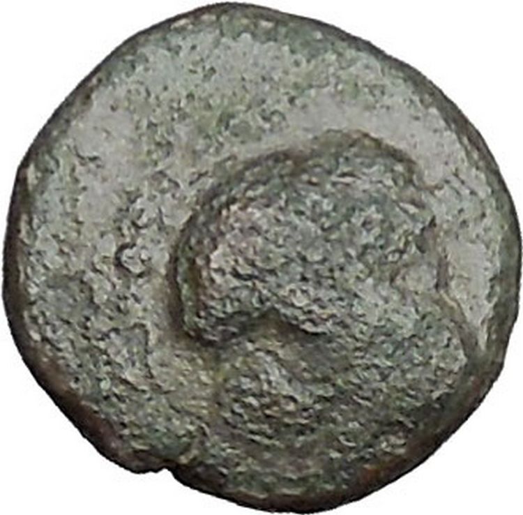 Antiochos III the Great 223BC RARE Ancient Greek Coin Elephant i49742