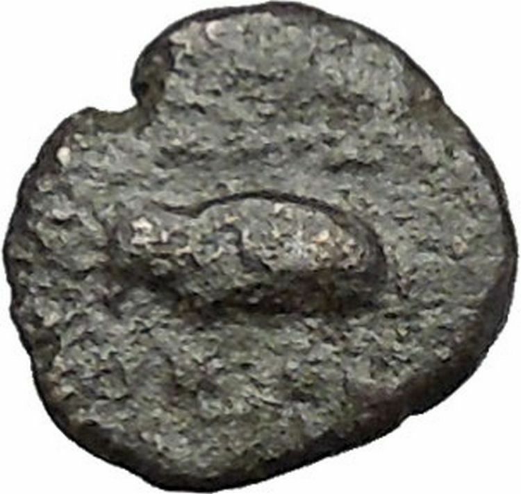 Antiochos III the Great 223BC RARE Ancient Greek Coin Elephant i49558