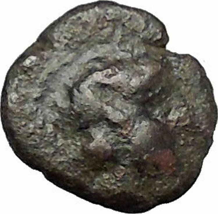 Antiochos III the Great 223BC RARE Ancient Greek Coin Elephant i49558