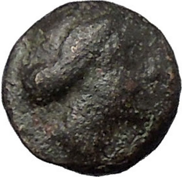 RHODES Island Off CARIA 394BC Nymph Rhodos ROSE Ancient Greek Coin i49605