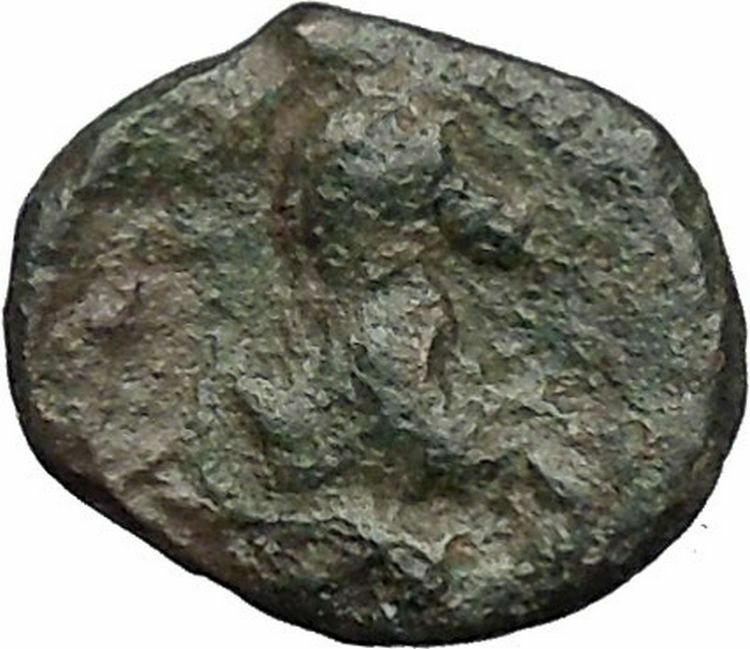 Panormos in Sicily 336BC RARE Ancient Greek Coin APOLLO Cult Horse i49803