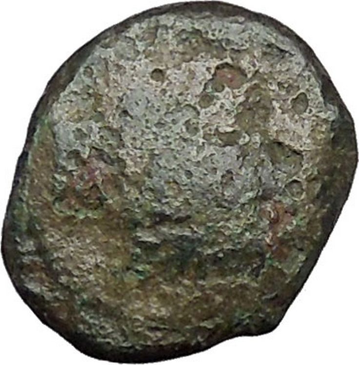 Panormos in Sicily 336BC RARE Ancient Greek Coin APOLLO Cult Horse i49803