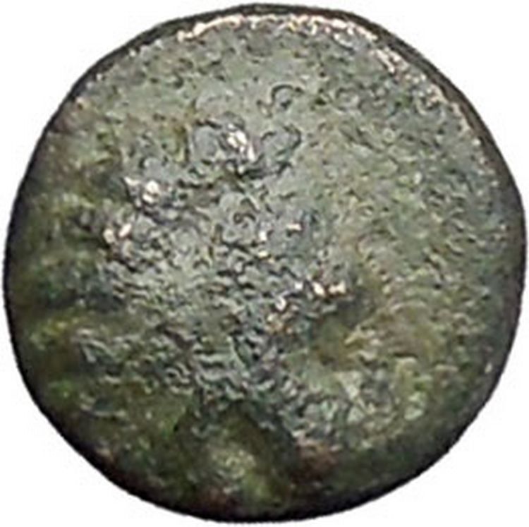 LYSIMACHEIA in THRACE 309BC Lion Grain Ear Authentic Ancient Greek Coin i47490