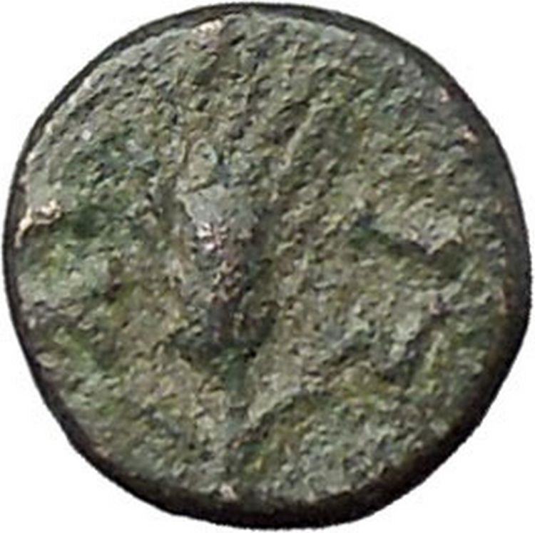 LYSIMACHEIA in THRACE 309BC Lion Grain Ear Authentic Ancient Greek Coin i47490