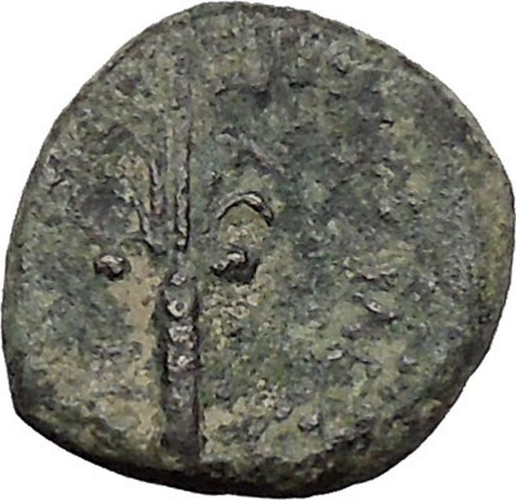 Demetrios I, Soter 162BC Seleukid Kingdom Palm Tree Ancient Greek Coin i47852