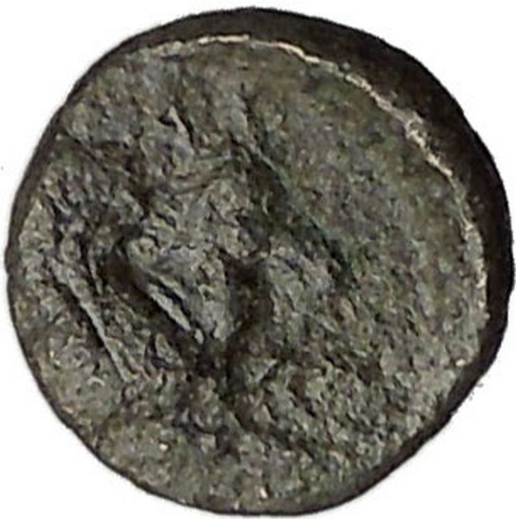 Lampsakos in Mysia 400BC Rare Ancient Greek Coin Female head Pegasus i47858