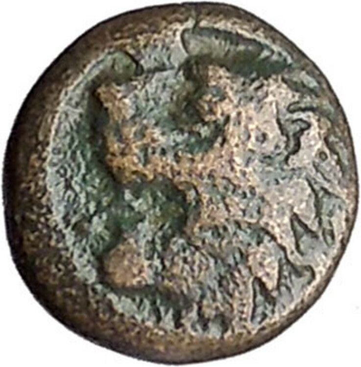 CHERSONESOS in THRACE 386BC LionBarley Grain Ancient Greek Coin i47489