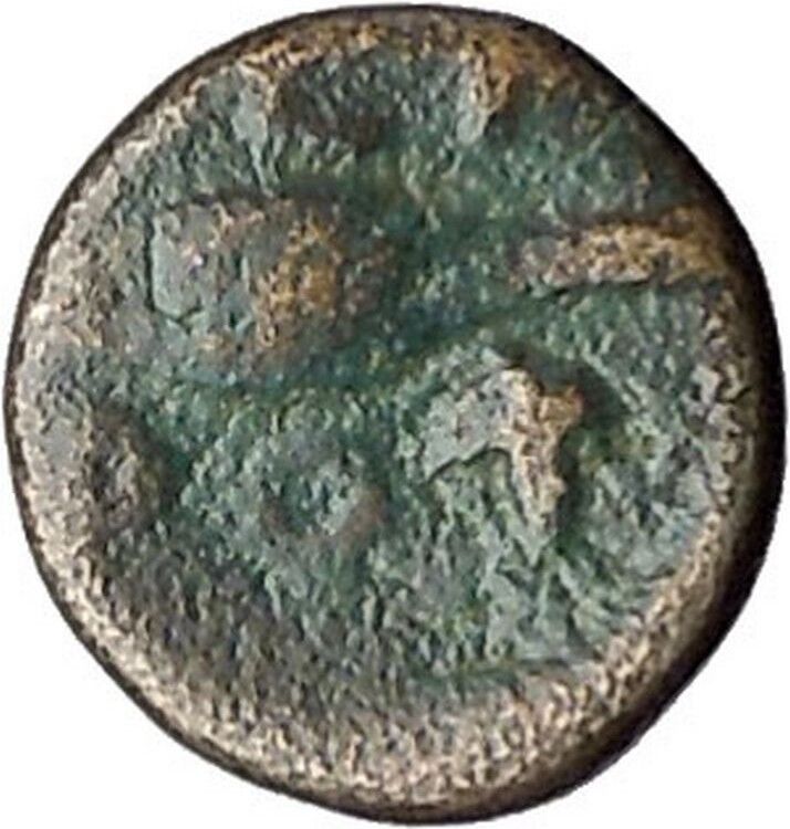 CHERSONESOS in THRACE 386BC LionBarley Grain Ancient Greek Coin i47489