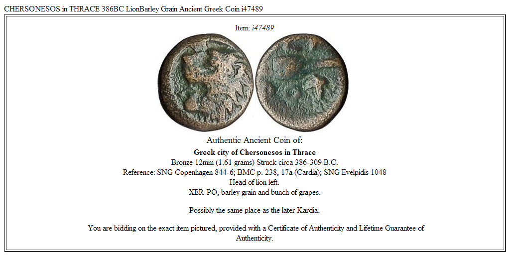 CHERSONESOS in THRACE 386BC LionBarley Grain Ancient Greek Coin i47489