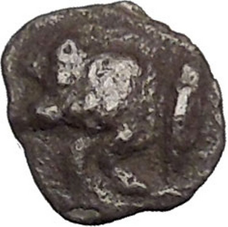 KYZIKOS in MYSIA 480BC Boar Lion Tuny Fish Ancient Silver Greek Coin i52343