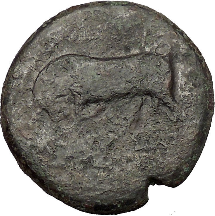 MESSANA in SICILY under the MAMERTINI 275BC Ancient Greek Coin Ares Bull i52542