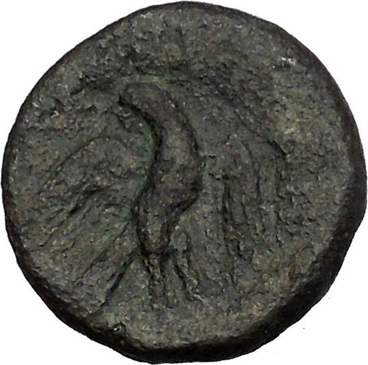 PANORMOS SICILY 200BC Ram Janiform Head Eagle Ancient Greek Coin RARE R2 i52344