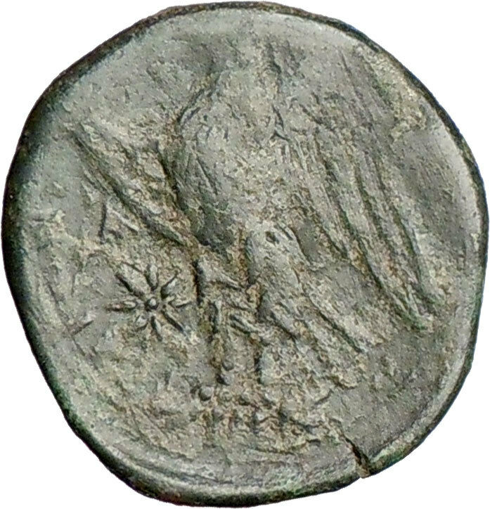 SYRACUSE Sicily 288BC King Hiketas Zeus & Eagle Ancient Greek Coin i27056