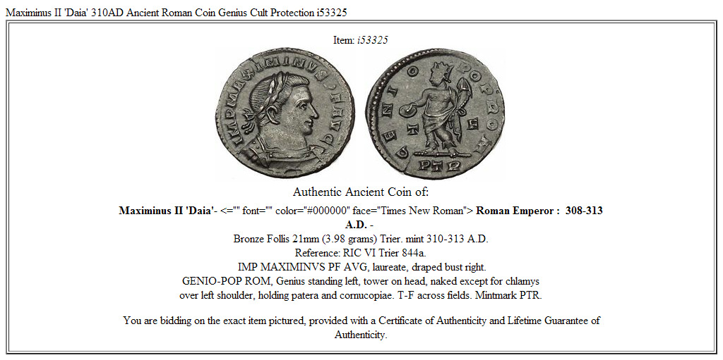 Maximinus II 'Daia' 310AD Ancient Roman Coin Genius Cult Protection i53325
