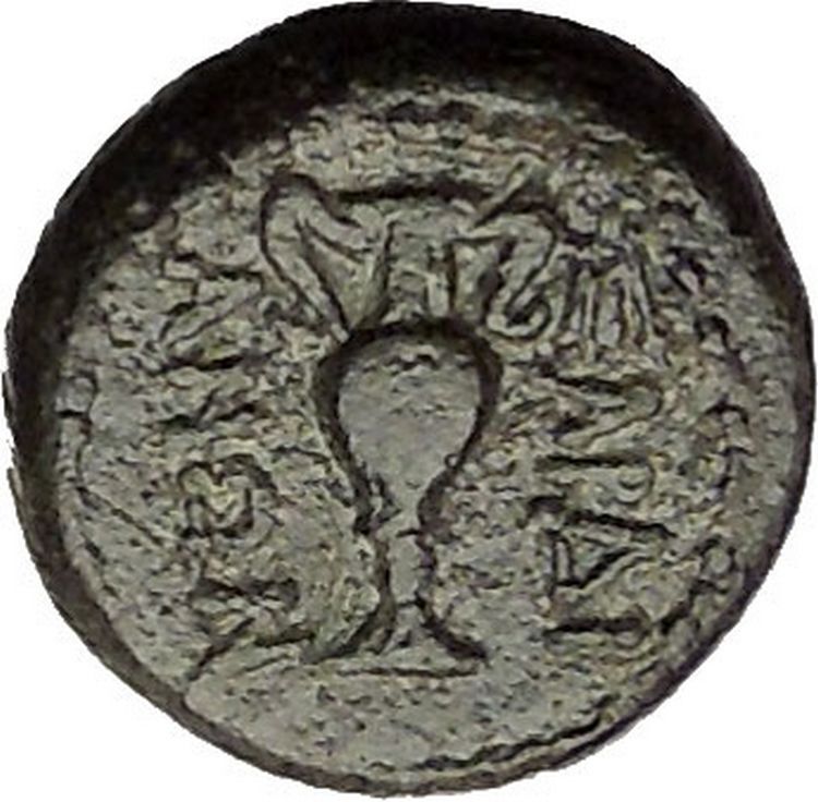 SARDES in LYDIA 133BC Hercules Kantharos Vase Ancient Greek Coin RARE i53315