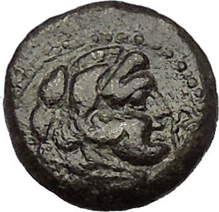 SARDES in LYDIA 133BC Hercules Kantharos Vase Ancient Greek Coin RARE i53315