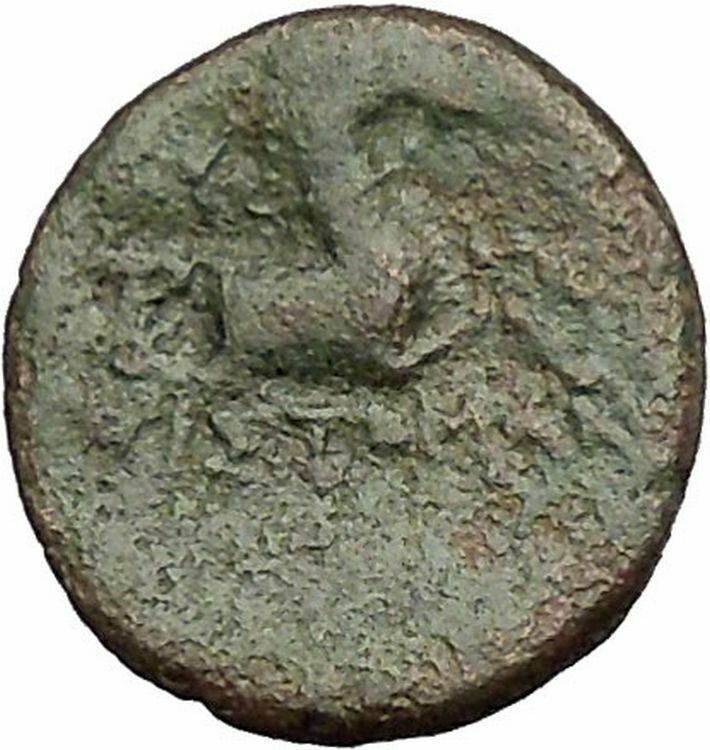 KYME in AEOLIS 250BC Amazon Woman Horse Cup Authentic Ancient Greek Coin i52565