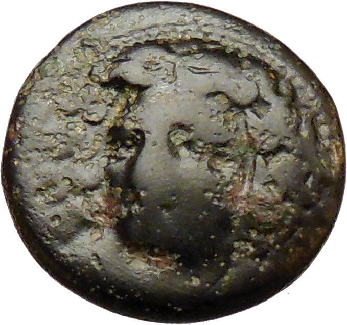 Larissa in Thessaly 350BC Ancient Greek Coin Nymph facing Horse man i29770