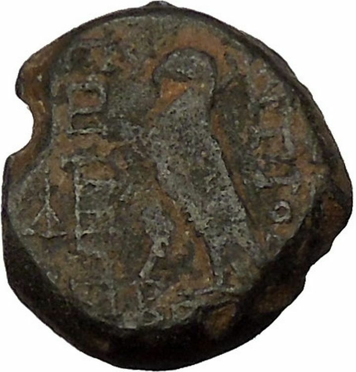 Antiochos VIII (Grypos) Seleukid Kingdom 121BC Ancient Greek Coin Eagle i53688