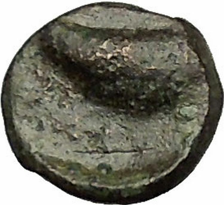 GYRNEION in AIOLIS 4-3rdCenBC Apollo Mussel Shell RARE Ancient Greek Coin i52527