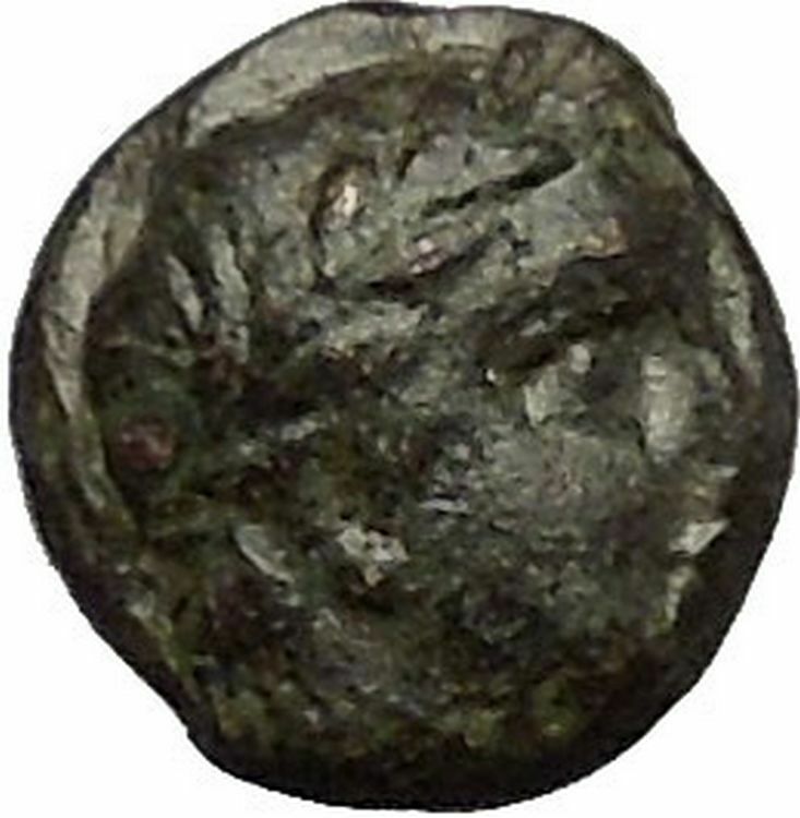 GYRNEION in AIOLIS 4-3rdCenBC Apollo Mussel Shell RARE Ancient Greek Coin i52527