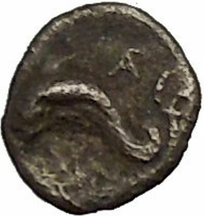 TARENTUM in CALABRIA 280BC Hemiobol RARE Silver Greek Coin Shell Dolphin i53710