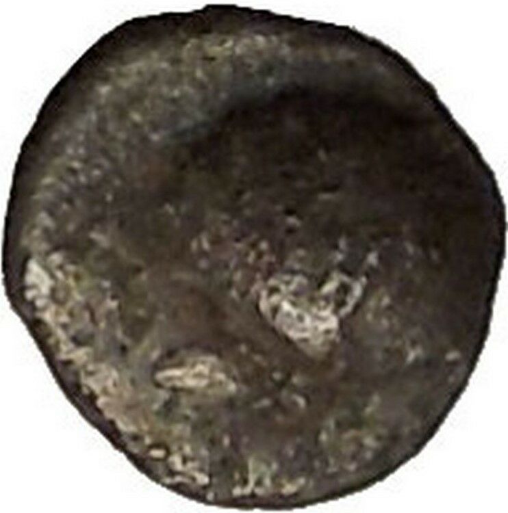 TARENTUM in CALABRIA 280BC Hemiobol RARE Silver Greek Coin Shell Dolphin i53710