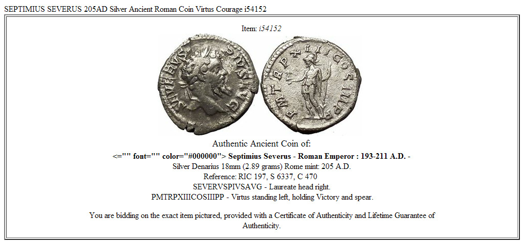 SEPTIMIUS SEVERUS 205AD Silver Ancient Roman Coin Virtus Courage i54152