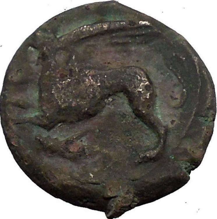 KAINON aka ALAISA in SICILY 360BC Griffin Horse RARE Ancient Greek Coin i54791