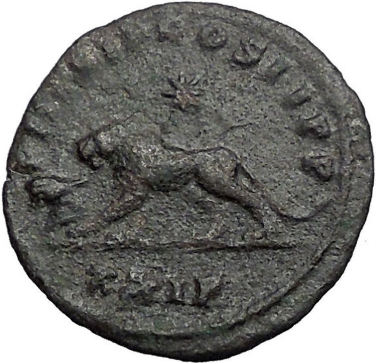 PROBUS 278AD LION with OX Legion Symbols Rare Original Ancient Roman Coin i55621