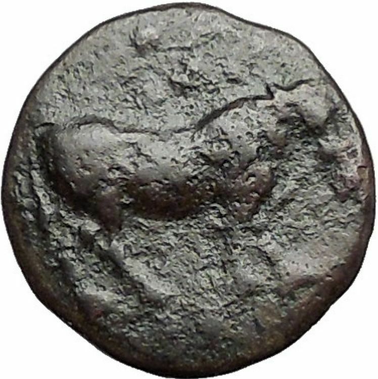 GELA in SICILY 420BC Bull River God Gelas Authentic Ancient Greek Coin i55900