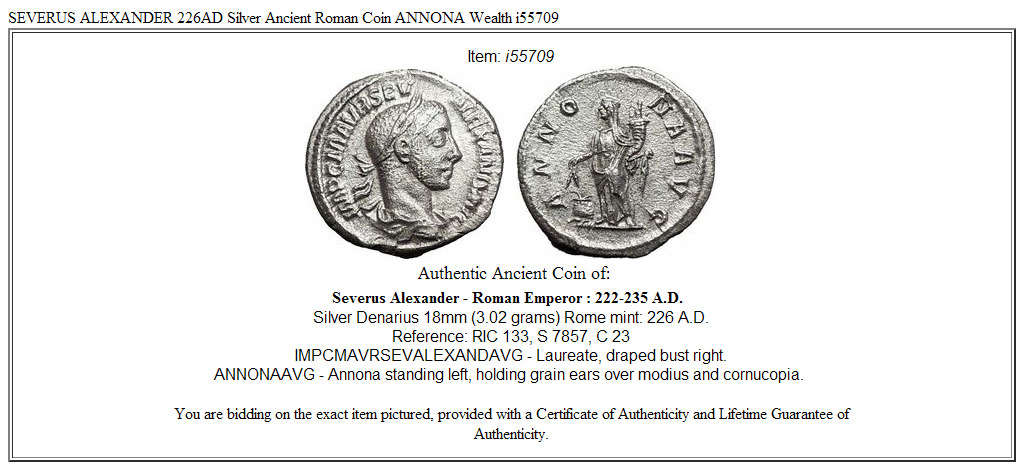 SEVERUS ALEXANDER 226AD Silver Ancient Roman Coin ANNONA Wealth i55709