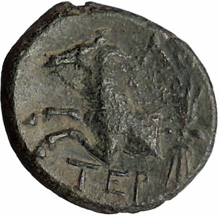 Termessos Major in Pisidia 41BC Zeus Horse Authentic Ancient Greek Coin i56089