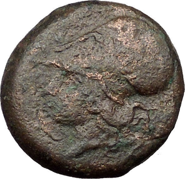 Syracuse in Sicily 344BC Timoleon Ancient Greek Coin Hippocamp Sea horse i31547