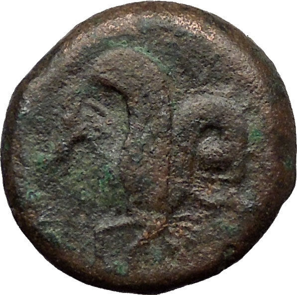 Syracuse in Sicily 344BC Timoleon Ancient Greek Coin Hippocamp Sea horse i31547