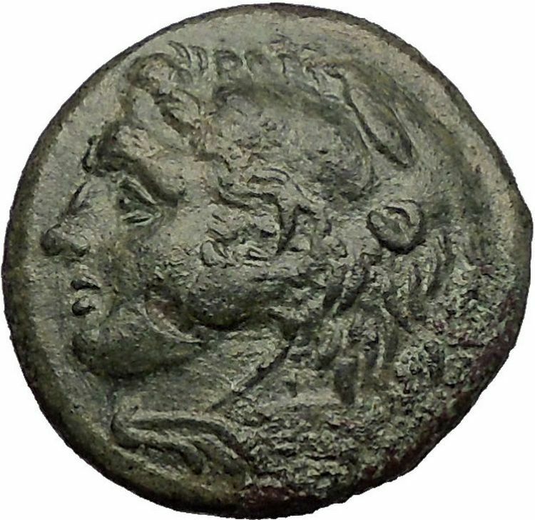 SYRACUSE in SICILY under PYRRHOS 278BC Hercules Athena Ancient Greek Coin i57269