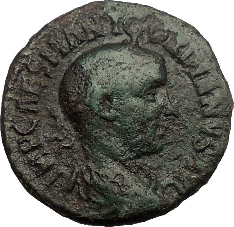 GORDIAN III Viminacium 240AD Bull Lion Legion RARE Ancient Roman Coin i57583