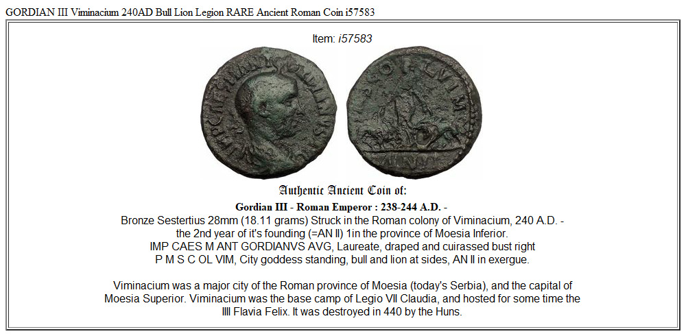 GORDIAN III Viminacium 240AD Bull Lion Legion RARE Ancient Roman Coin i57583