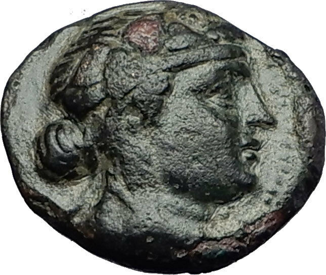 SARDES in LYDIA 200BC Dionysus Wine God Lion Authentic Ancient Greek Coin i59015