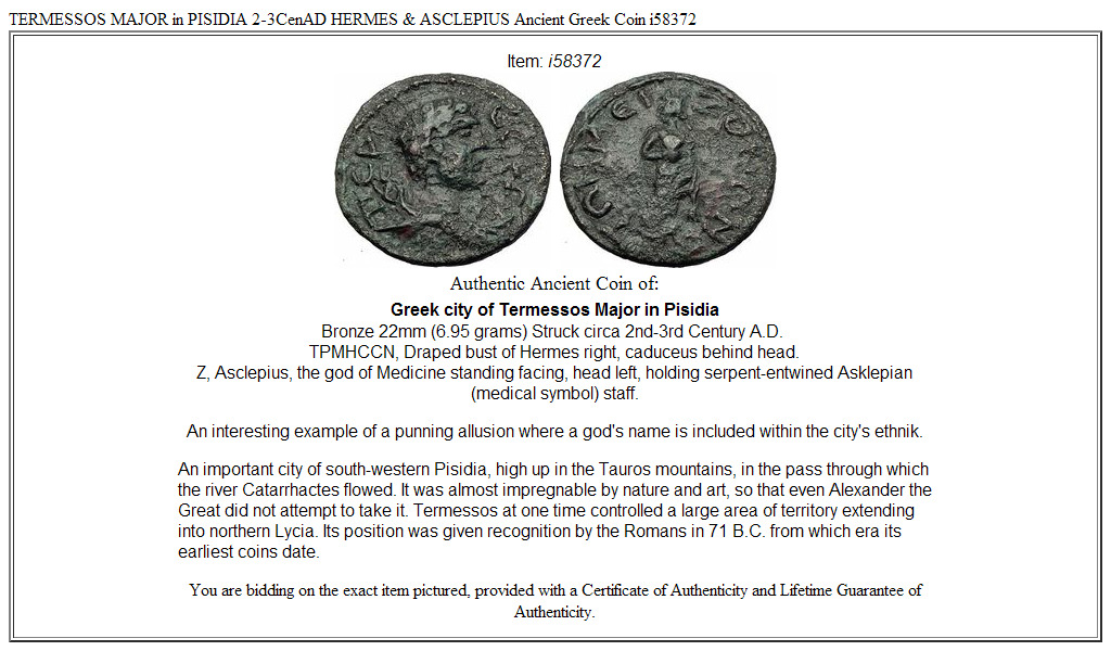 TERMESSOS MAJOR in PISIDIA 2-3CenAD HERMES & ASCLEPIUS Ancient Greek Coin i58372