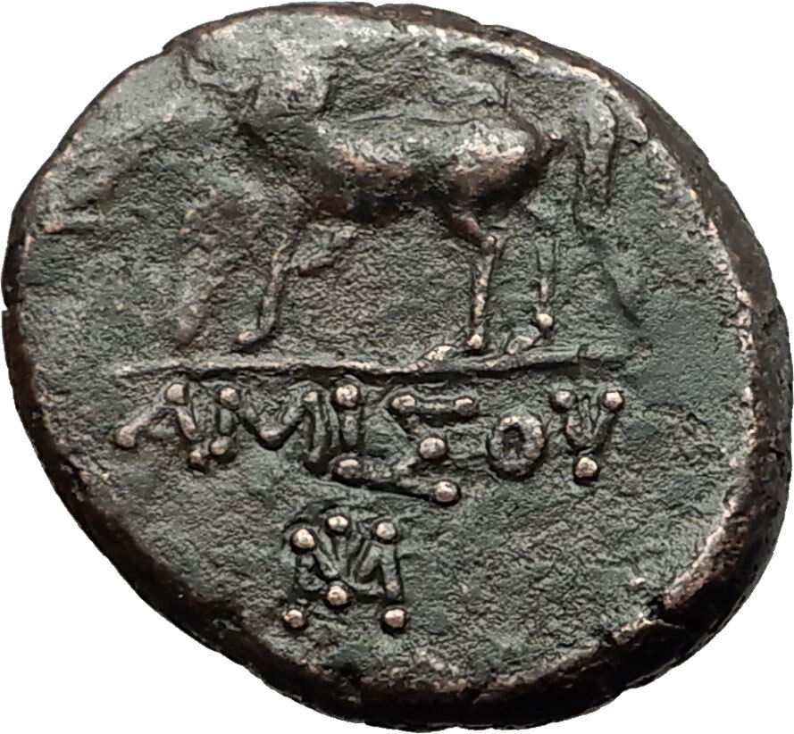 AMISOS in PONTUS MITHRADATES VI the GREAT Time Perseus Pegasus Greek Coin i59444