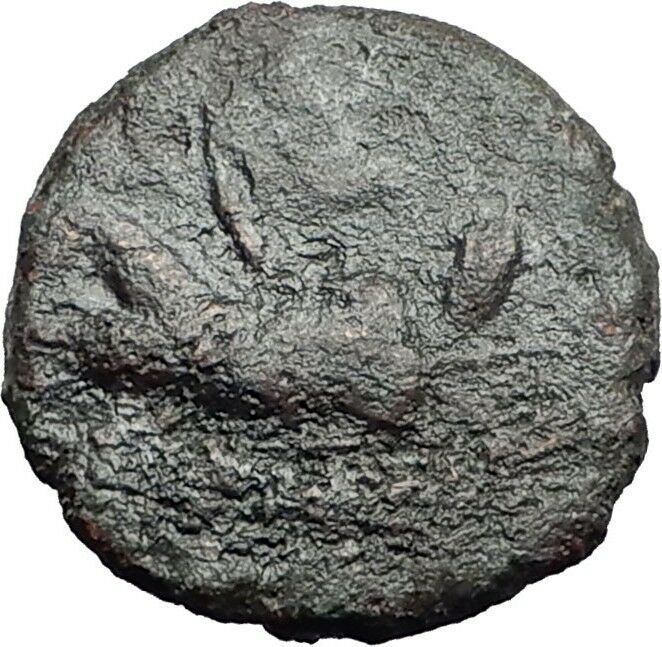 KATANE SICILY 2-1CenBC River-God Amenanos Gemini Caps Rare R1 Greek Coin i59534