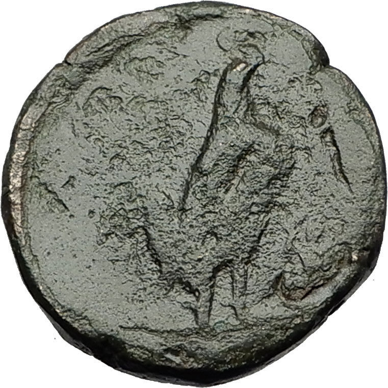 DARDANOS in Hellespont TROAS 400BC Horseman Rooster Athena Greek Coin i59315